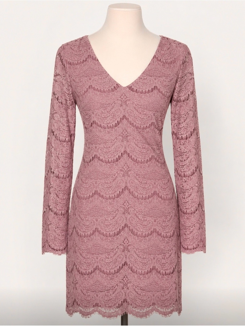 Forever 21 Dusty Rose Lace V-Neck Long Sleeve Dress